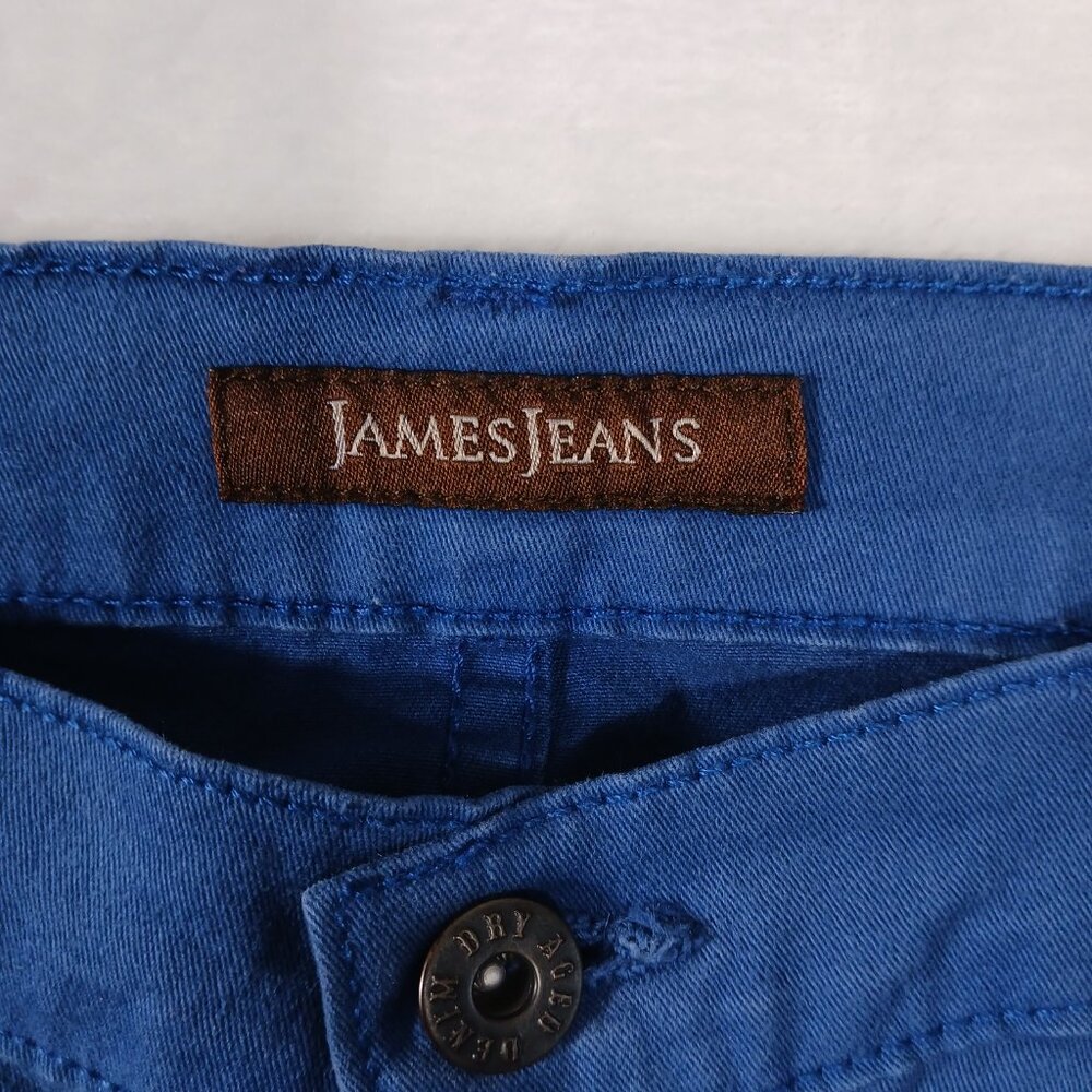 James Jeans, Royal Blue "Twiggy" Jeans, Size 29, Low to Mid Rise (8.5"), Ankle - Picture 2 of 13